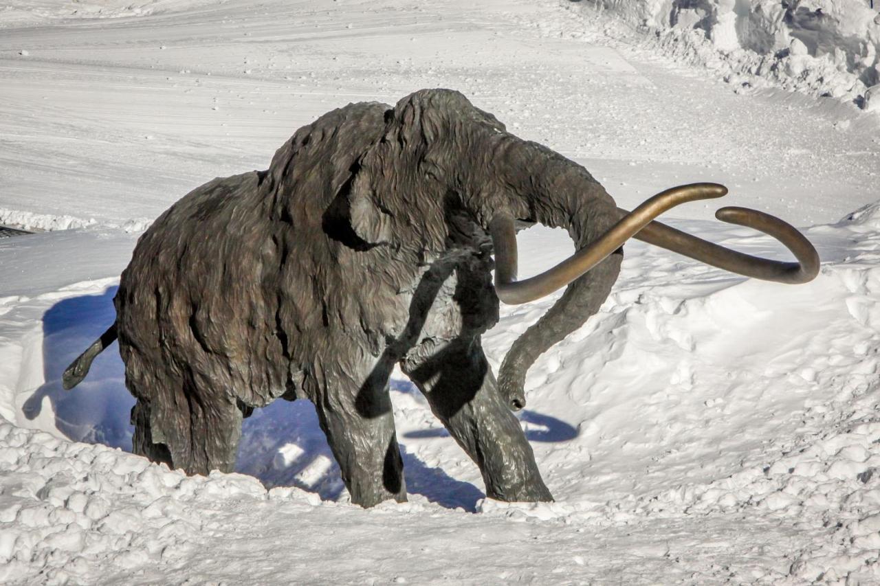 Sierra Megeve Apartamento Mammoth Lakes Exterior foto